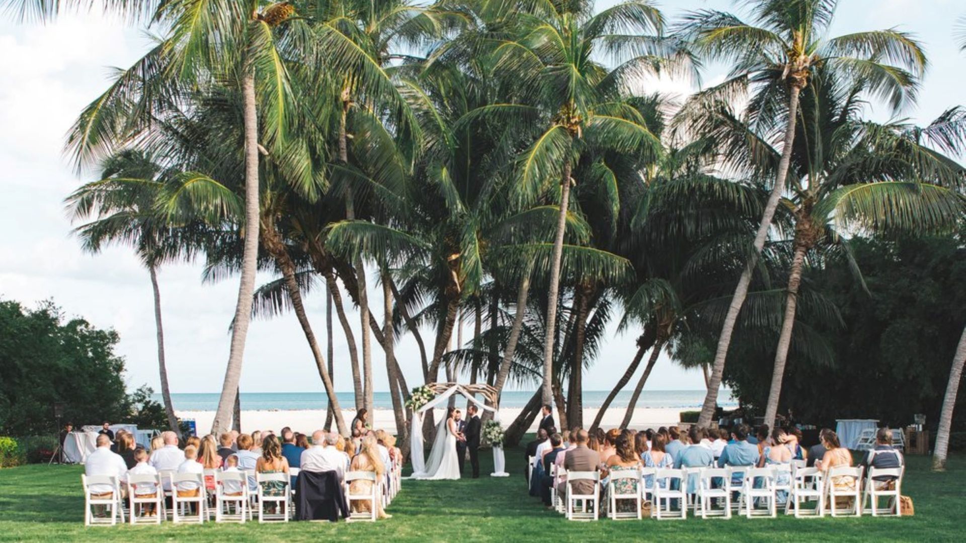 A Group Of People Sitting On Chairs In Front Of Palm Trees